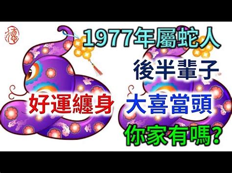 1977蛇五行